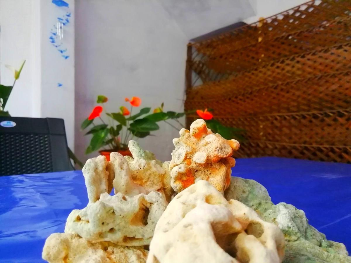 Отель New Coral Garden Велигама Экстерьер фото